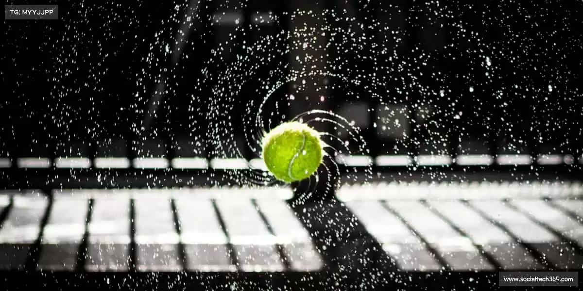 壹号娱乐——🎾专业周边,为热爱注入灵魂色彩!